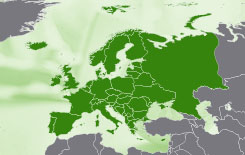Europe ETFs in comparison
