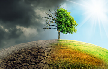 The best indices for climate change ETFs