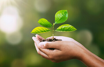 Invest in the future with sustainable ETFs